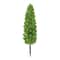 Mini Dark Green Cypress Tree by Ashland®